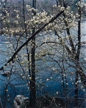 ELIOT PORTER (1901-1990) Selection of 4 photographs from the portfolio entitled Intimate Landscapes.